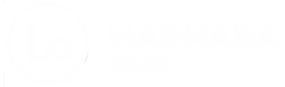 Voice Logo